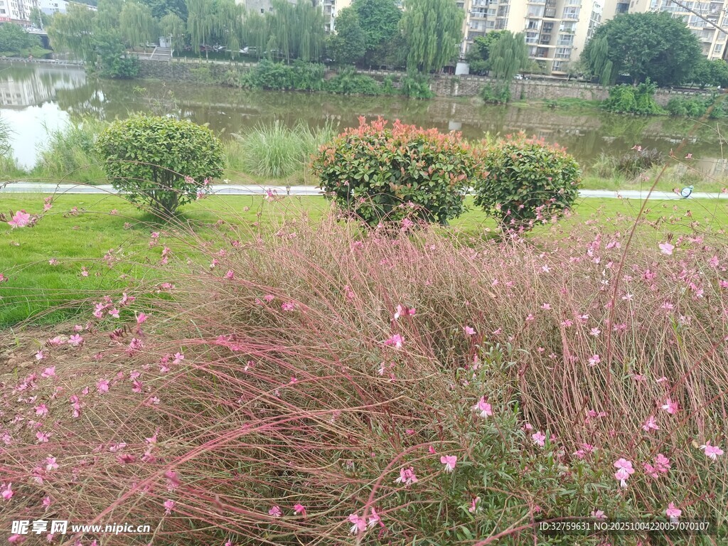 公园中色彩丰富的花草景观