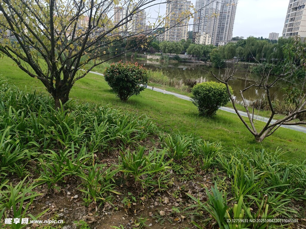 城市中的绿意盎然景观