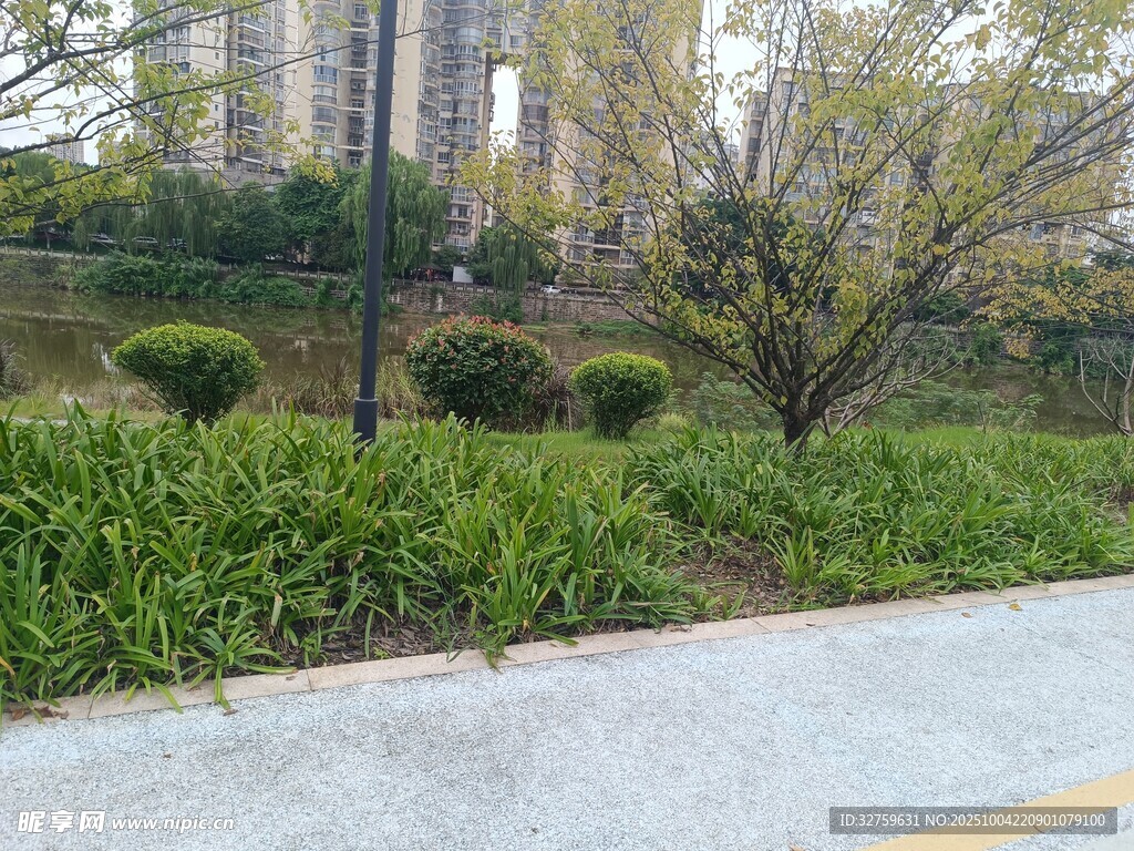 城市路边绿化带景观