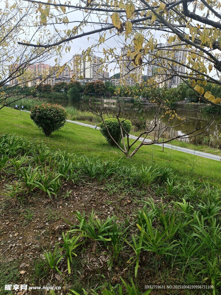 春日公园绿植景观