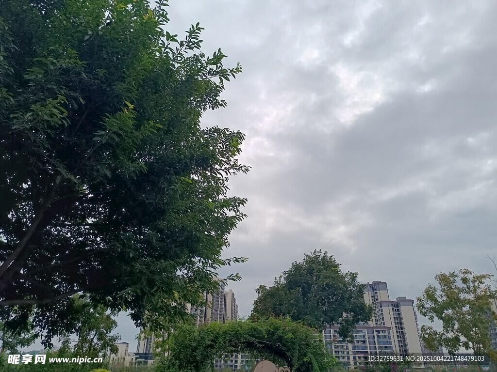 绿树掩映下的城市天际线