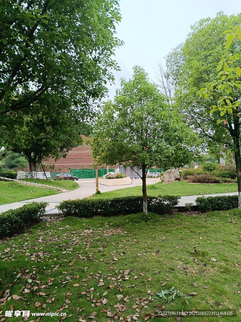 公园绿意盎然的休闲场景