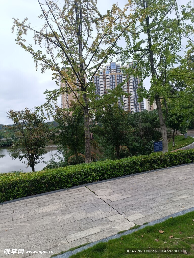 城市河畔的静谧步道景观