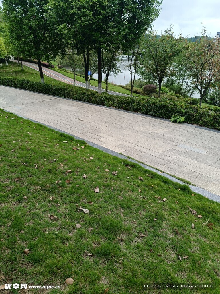 湖畔小径旁的翠绿草地