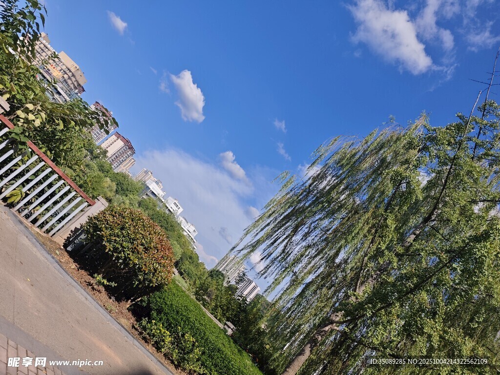 户外绿植景观蓝天白云