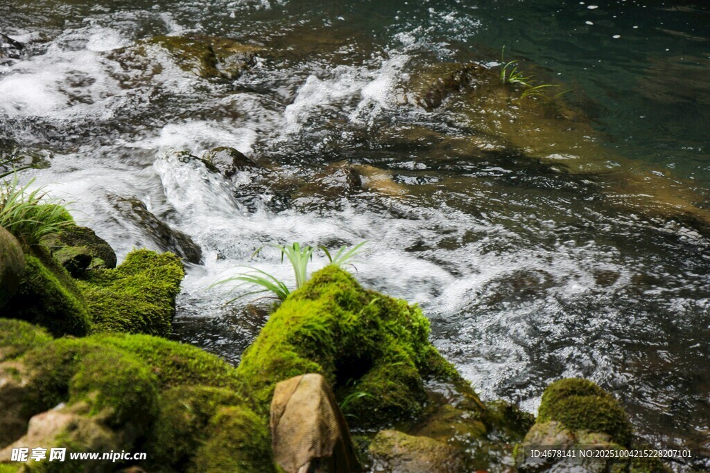 山间溪流潺潺青苔覆石