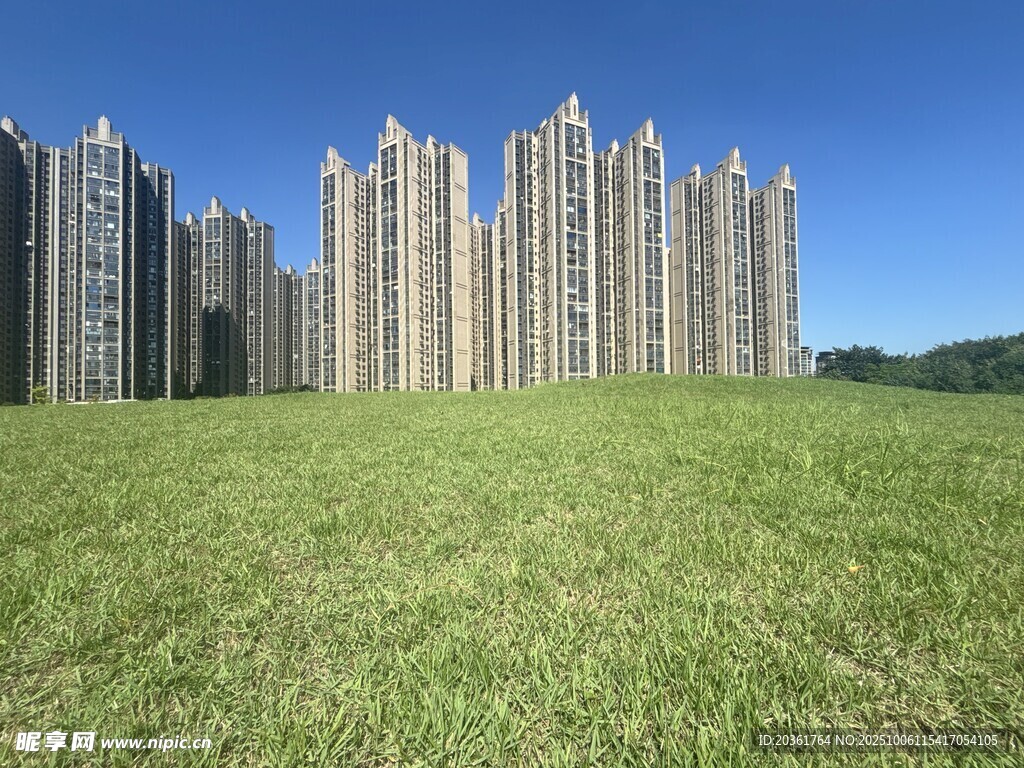 草地旁的高楼建筑群