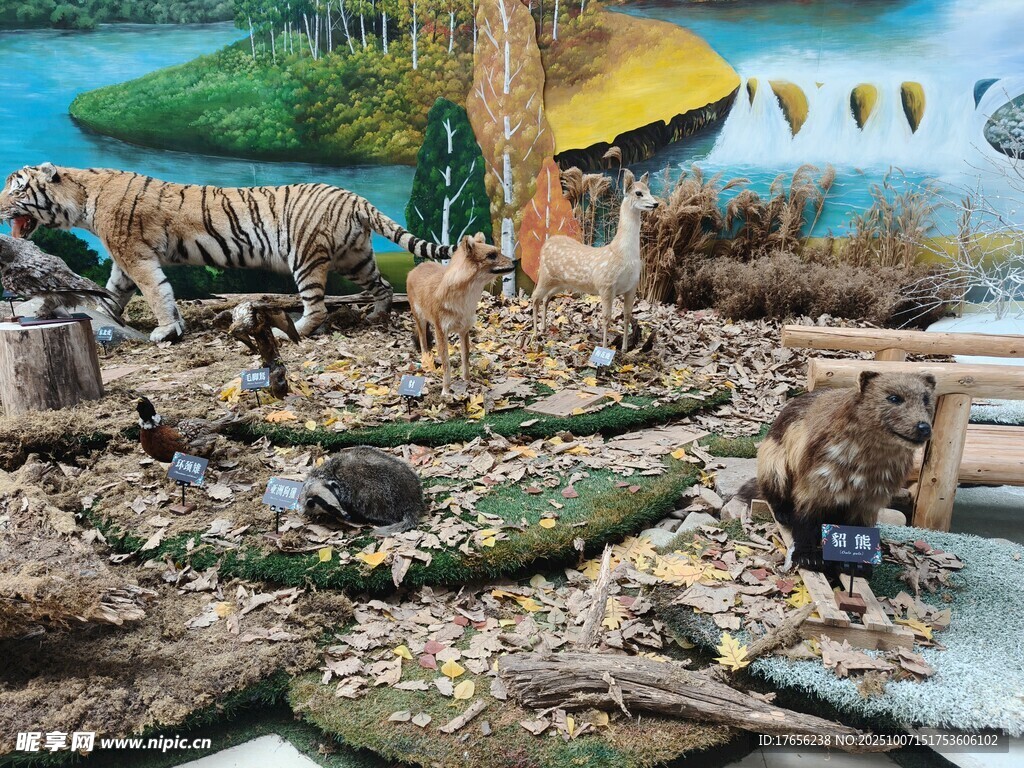 多彩鸟类栖息于仿真环境