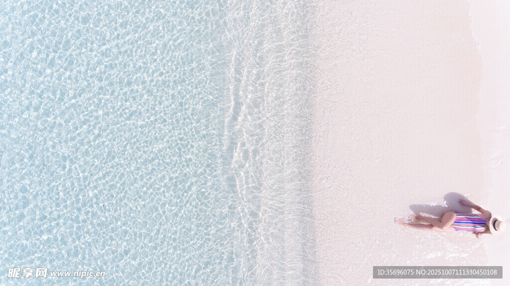 沙滩上的紫色小贝壳