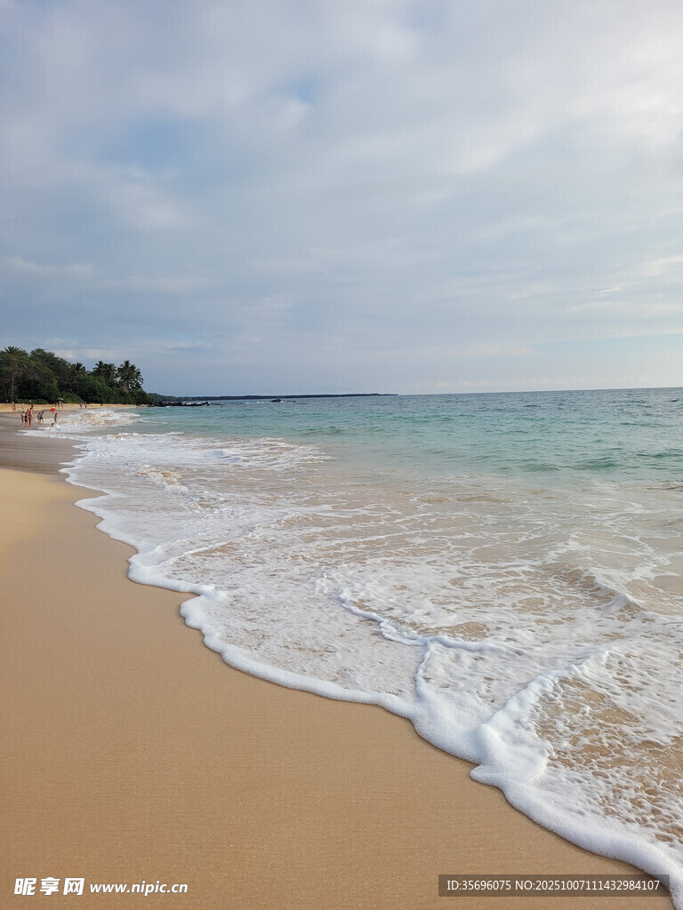 美丽海滨沙滩海浪景观