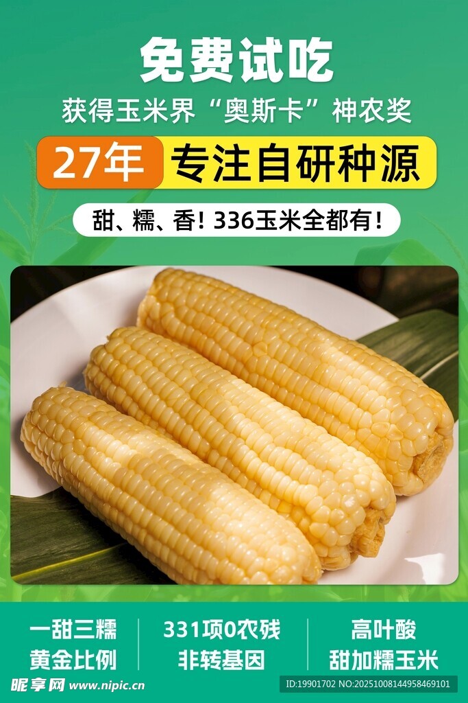 336玉米免费试吃