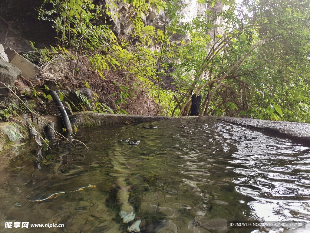 山林中的静谧温泉池
