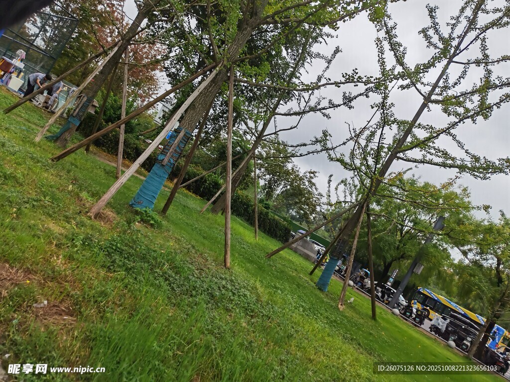 公园绿意盎然的休闲场景