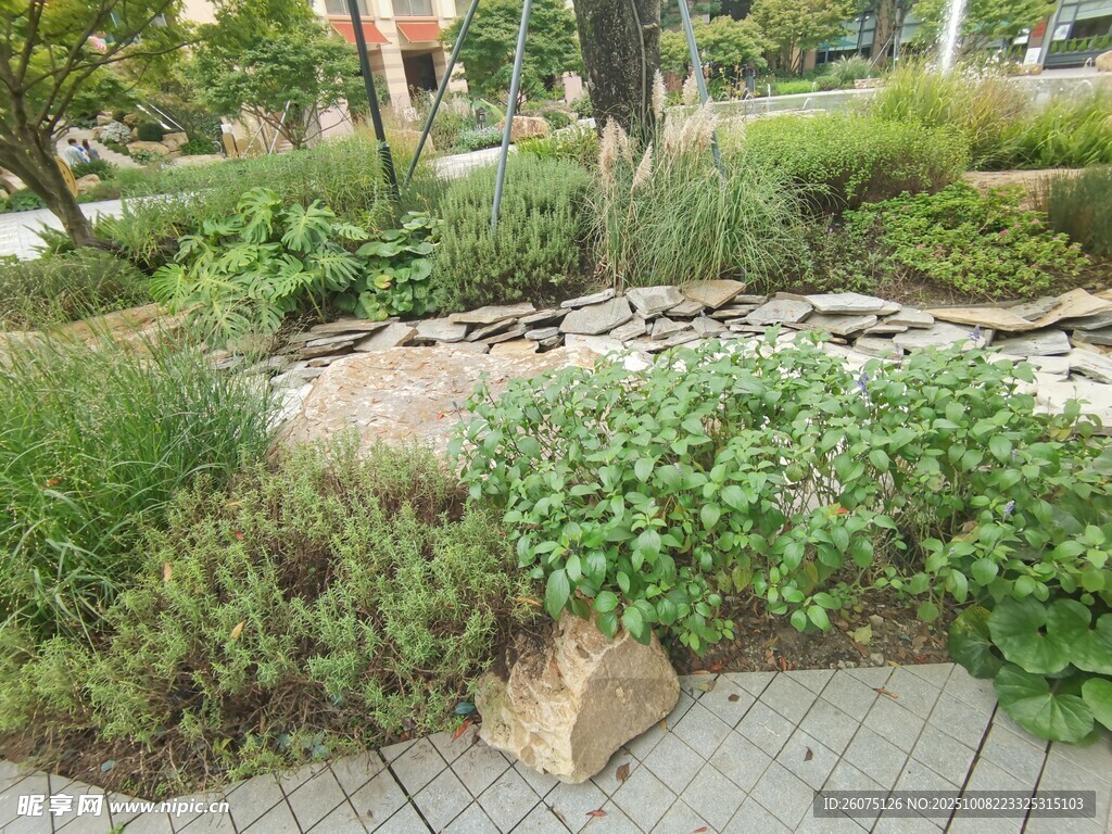 城市街角绿植景观