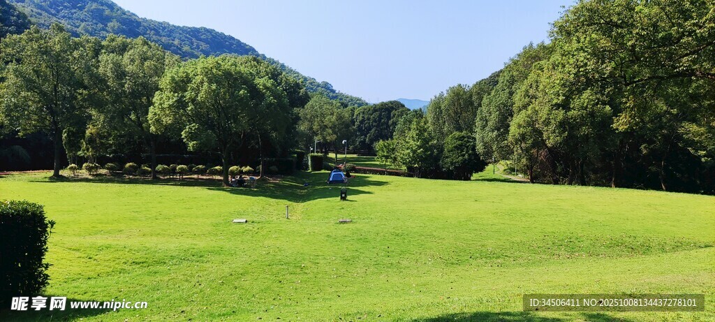 绿野山林间的开阔美景