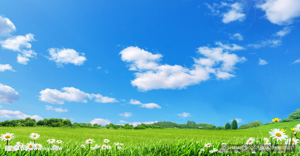 蓝天白云绿草地