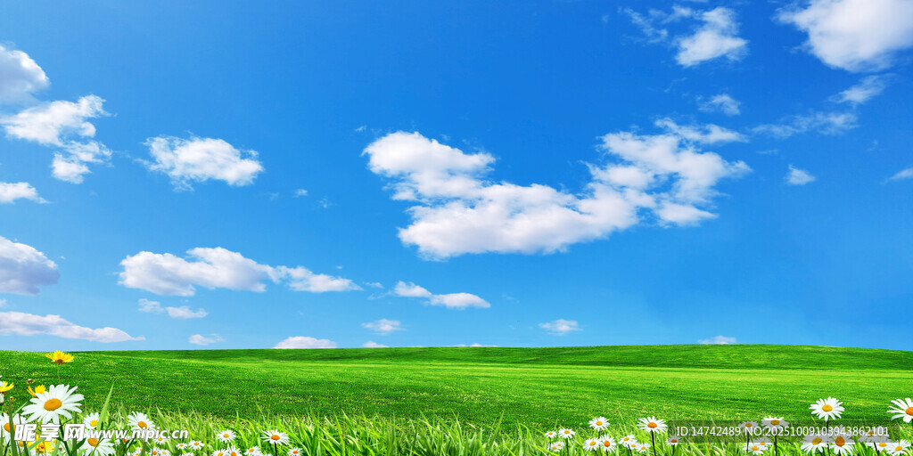 蓝天白云绿草地
