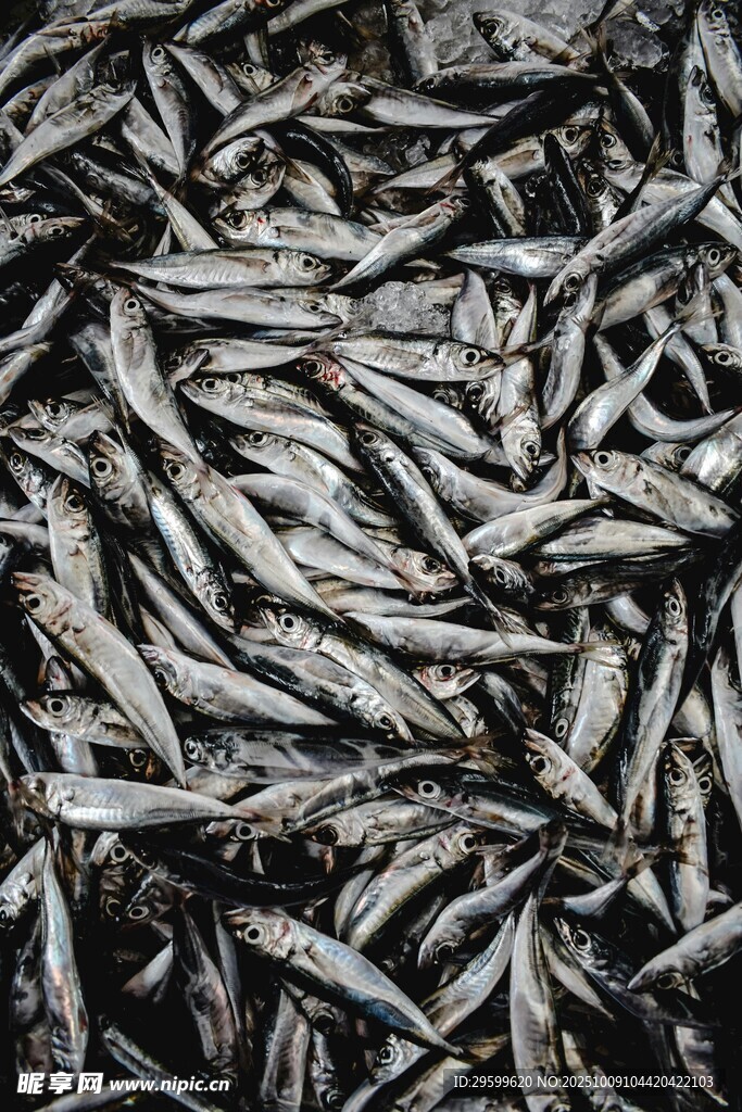 一堆干小鱼干特写