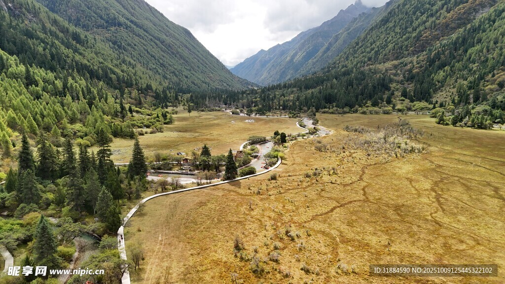 山谷中的金黄田野与溪流
