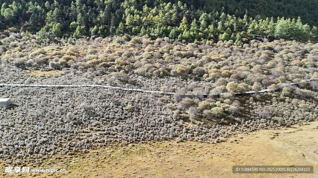 户外碎石堆积场景