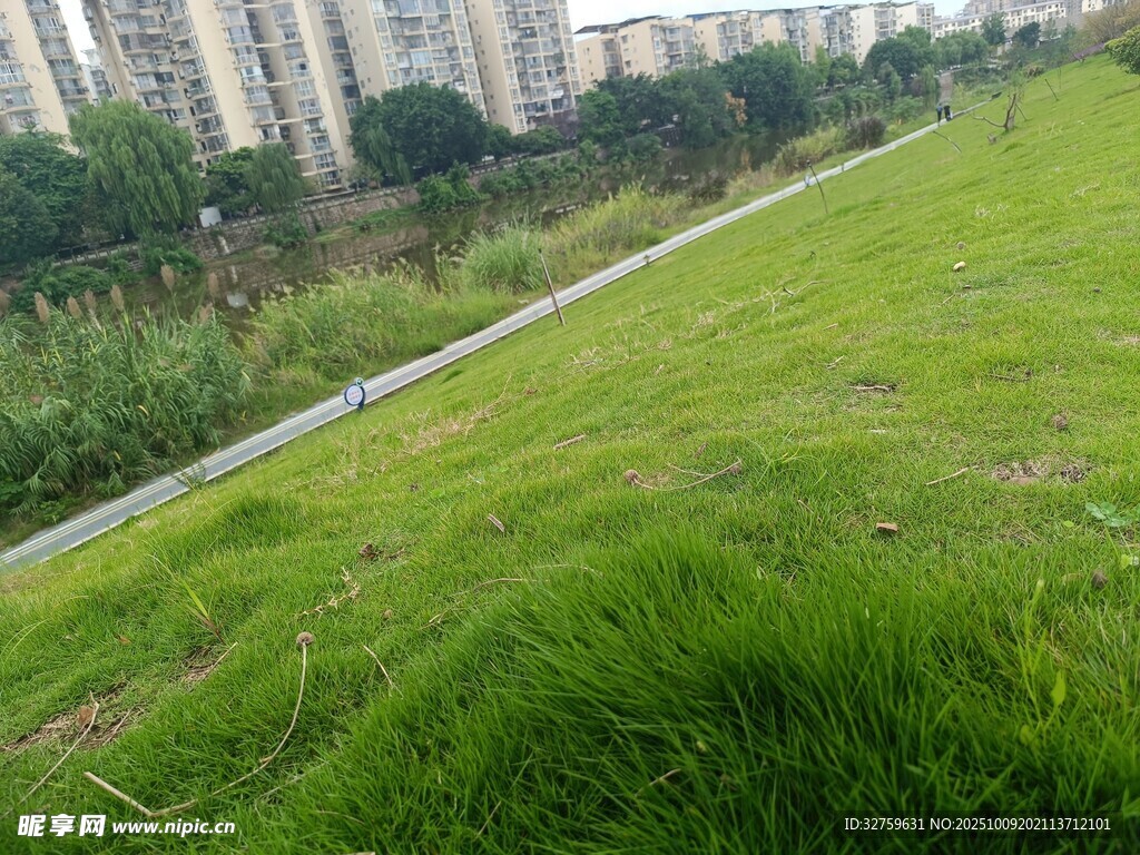 城市边的翠绿草地景观