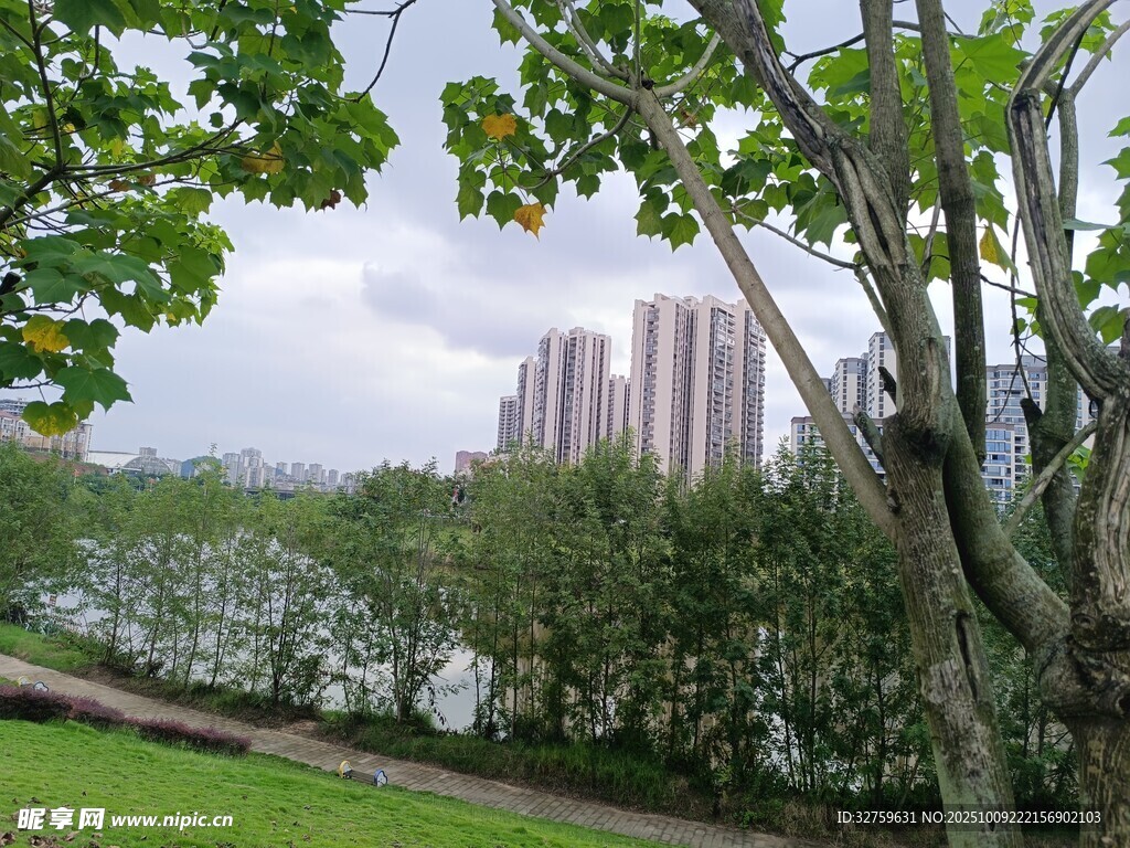 湖畔绿树旁的城市远景