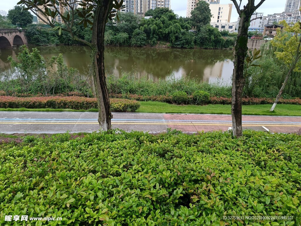 河畔绿意盎然的草地景观