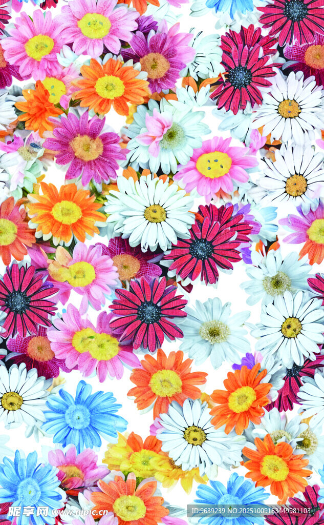 多彩缤纷花卉图案