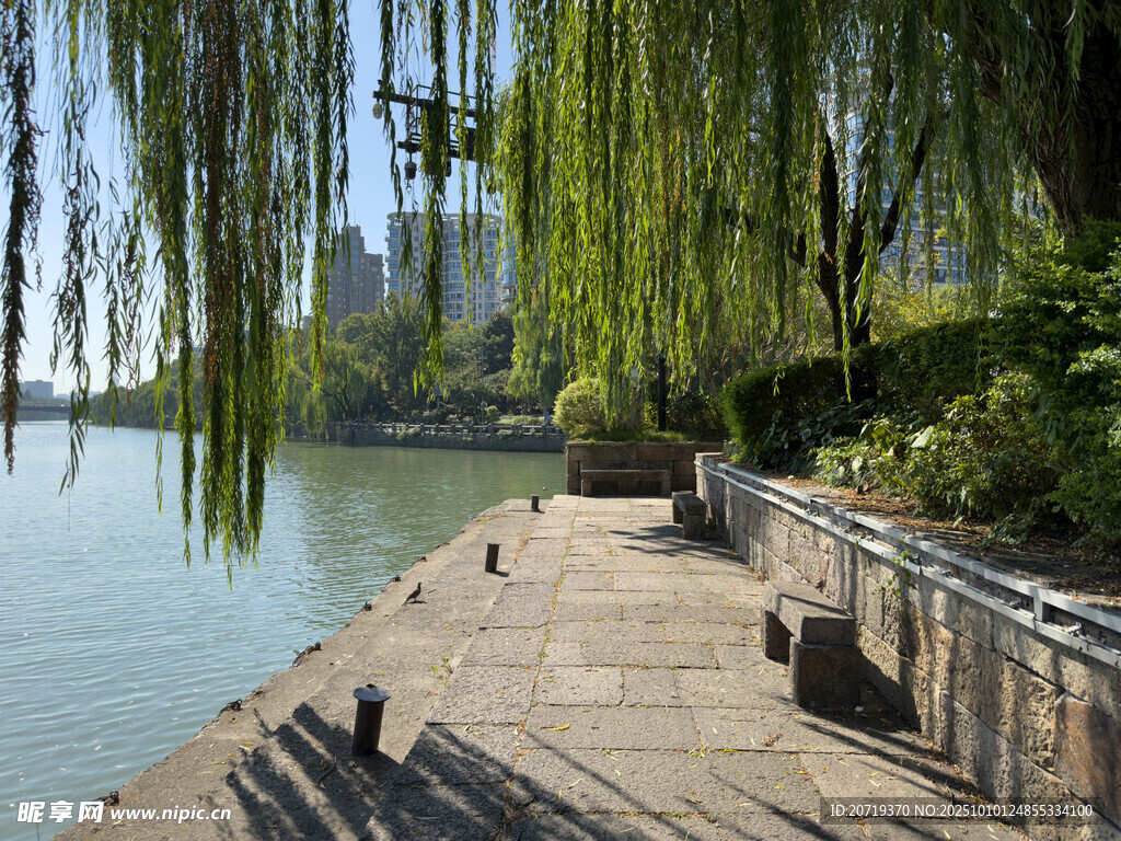 湖畔垂柳下的静谧步道