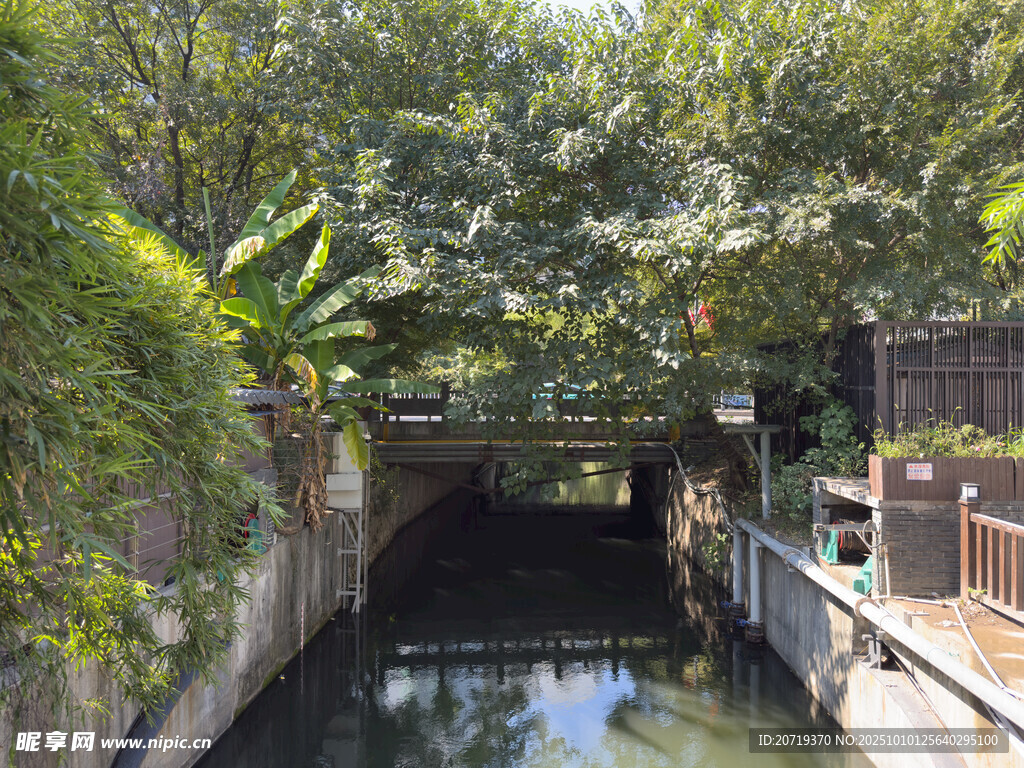 城市中静谧的河道景观