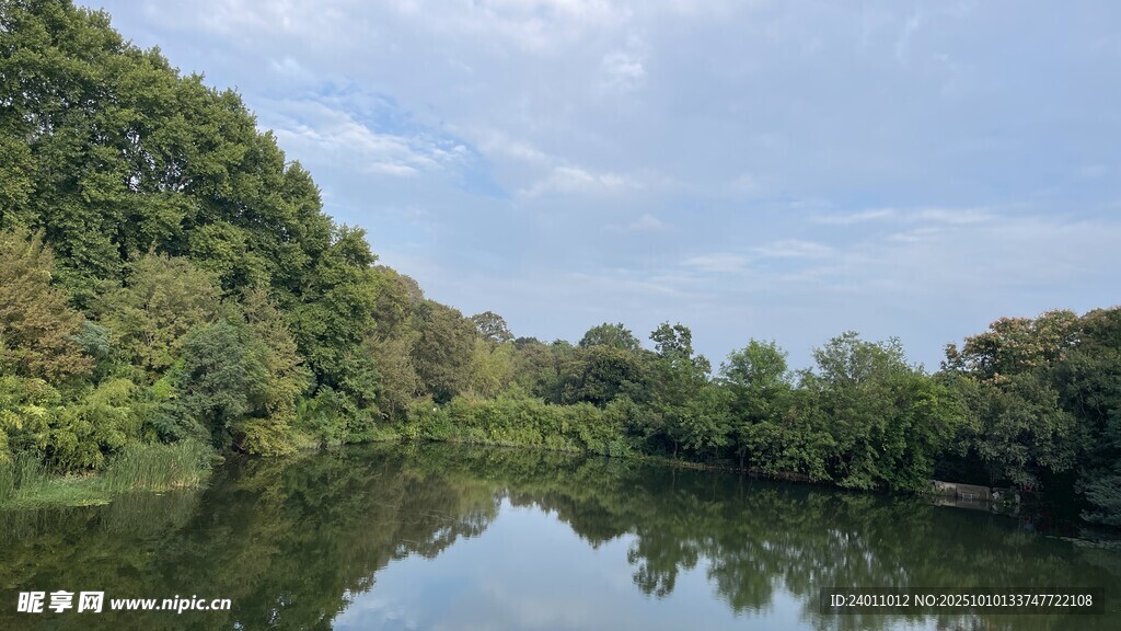 宁静湖畔绿树环绕美景