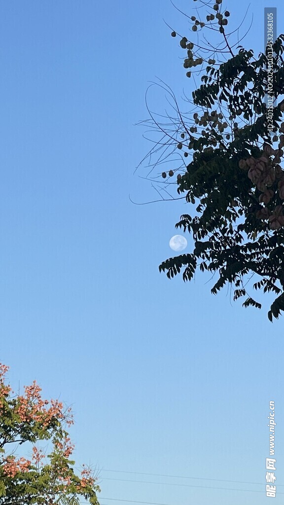 蓝天绿树间的自然景致