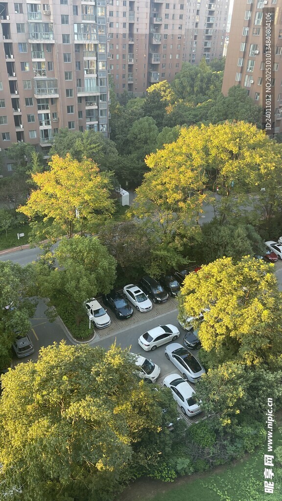 秋日小区停车场景观