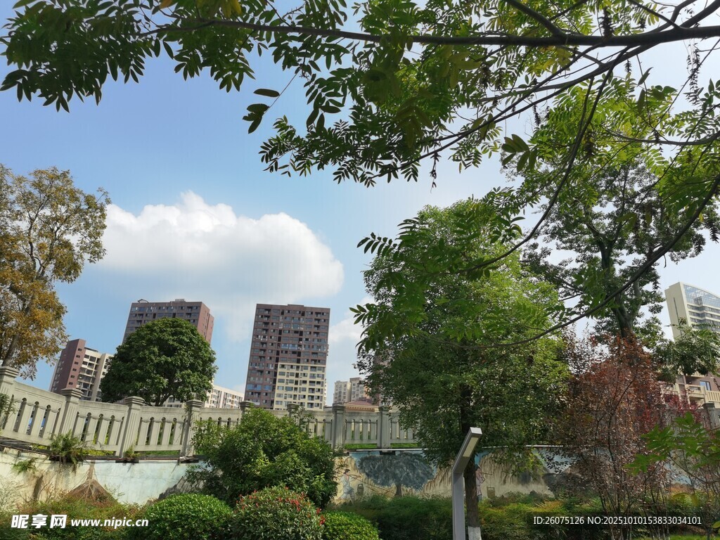 城市园林景观中的自然风光