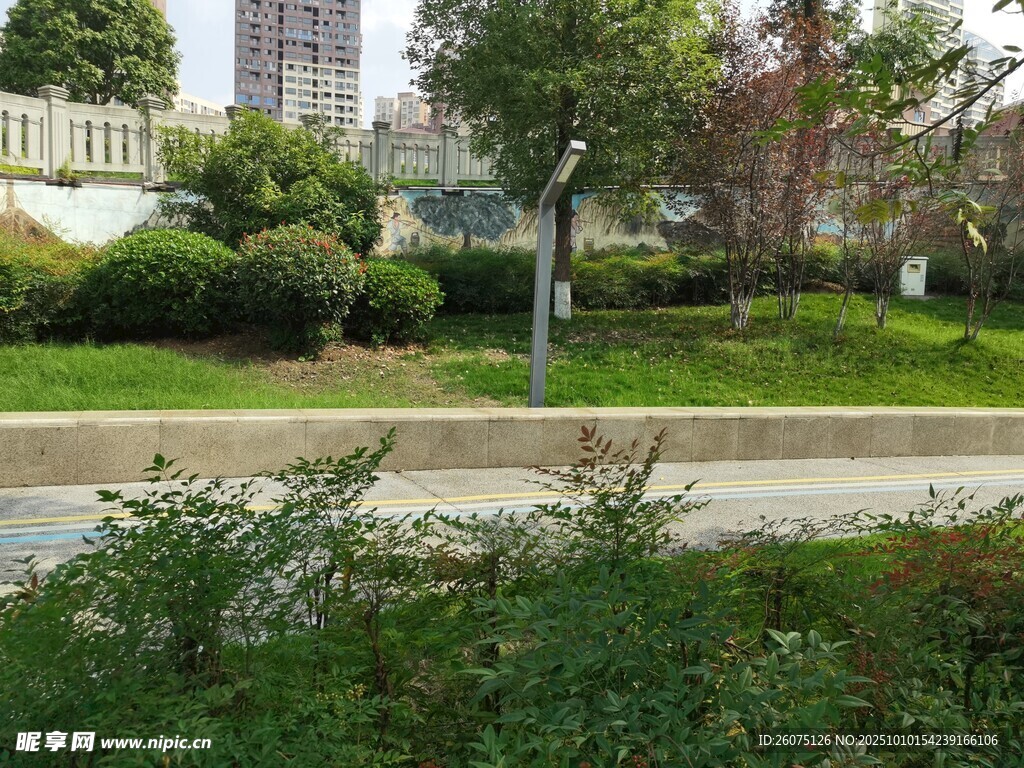城市街边绿意盎然景观