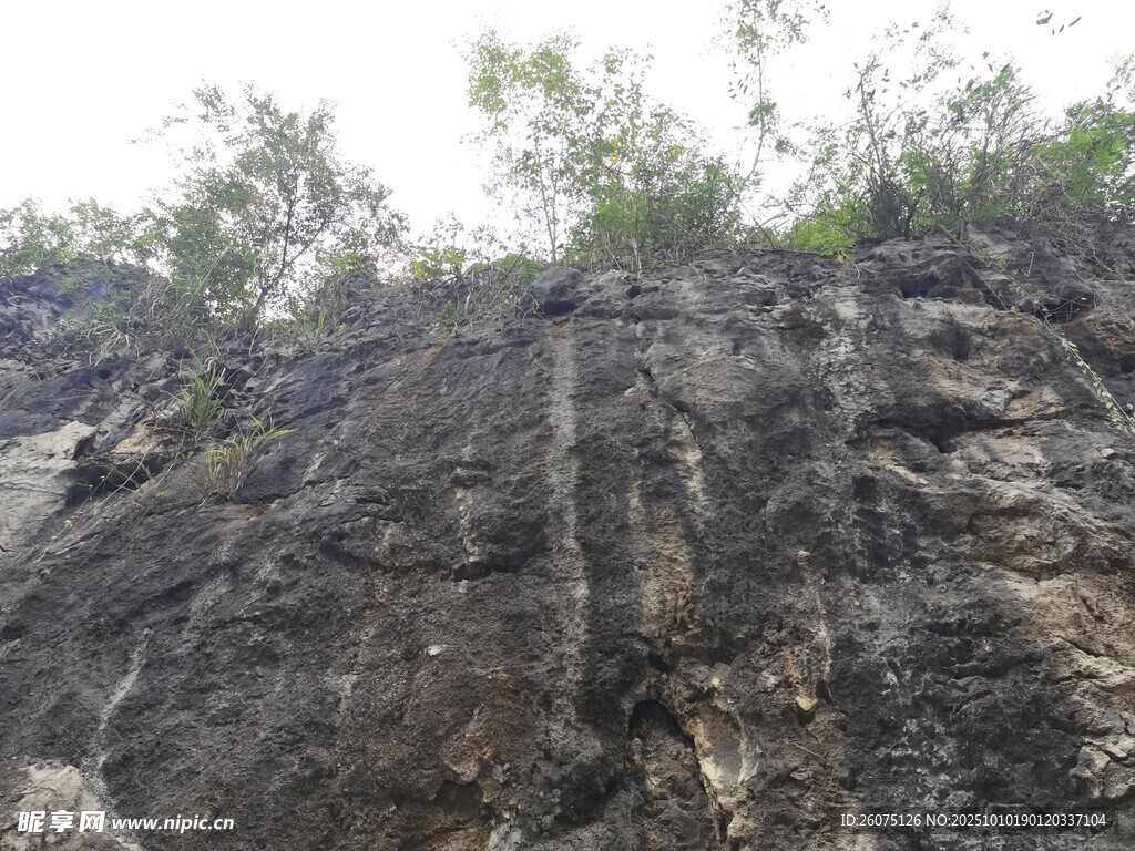 陡峭岩石山壁植被点缀