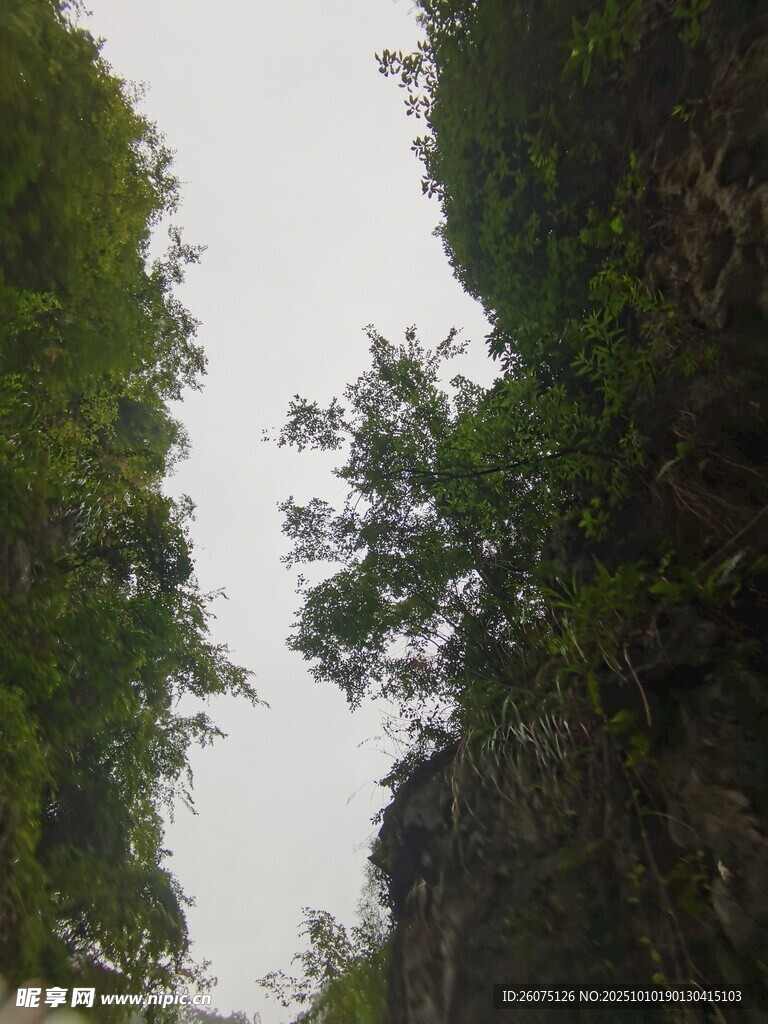 峡谷间的葱郁绿意