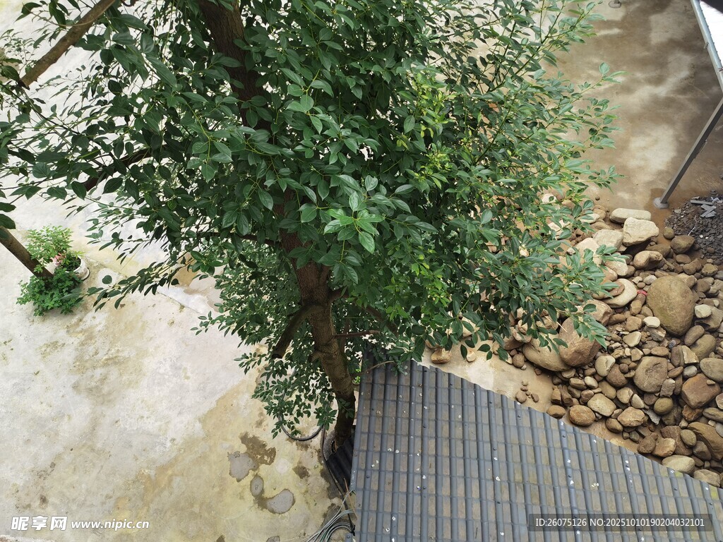 户外绿植旁的金属格栅