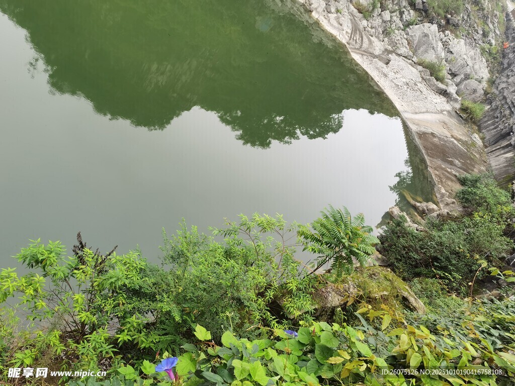 山间绿水畔的繁茂植被