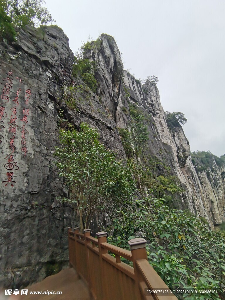 山间栈道旁的峭壁绿植景观