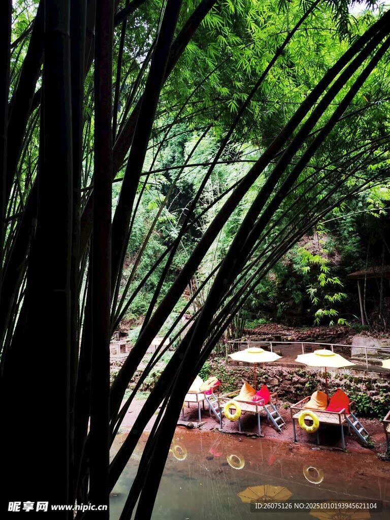 竹林下的休闲河畔景致