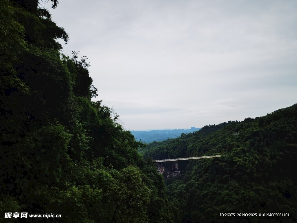 山间桥梁隐于葱郁绿意中
