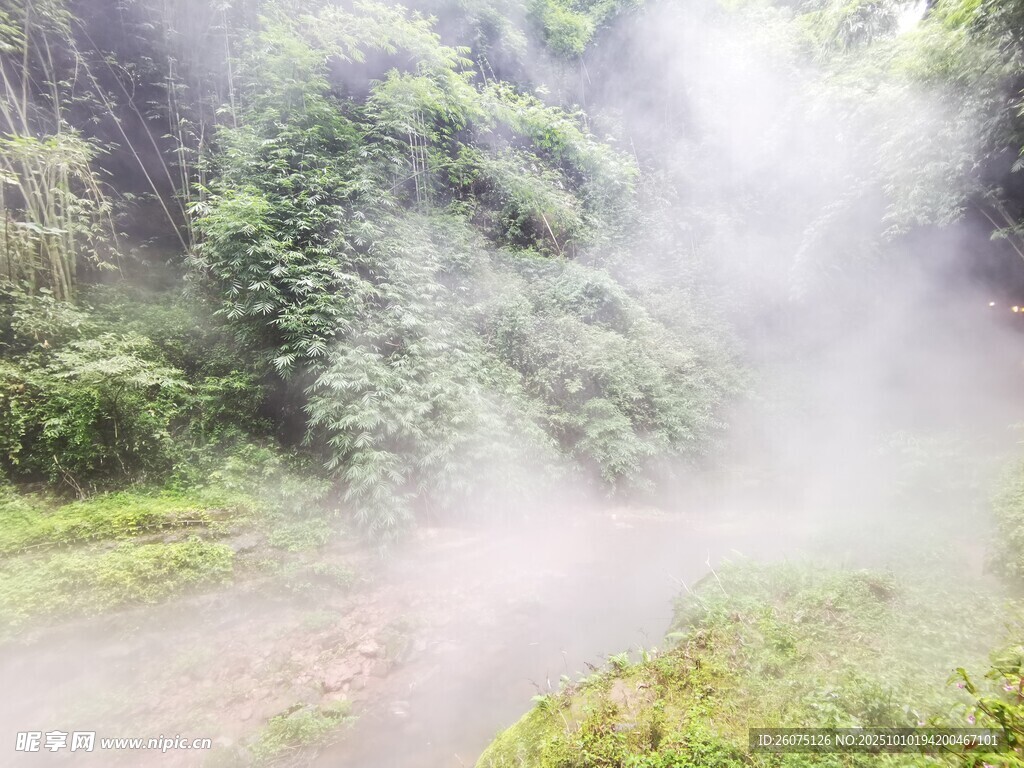 林间雾霭弥漫的清幽小道