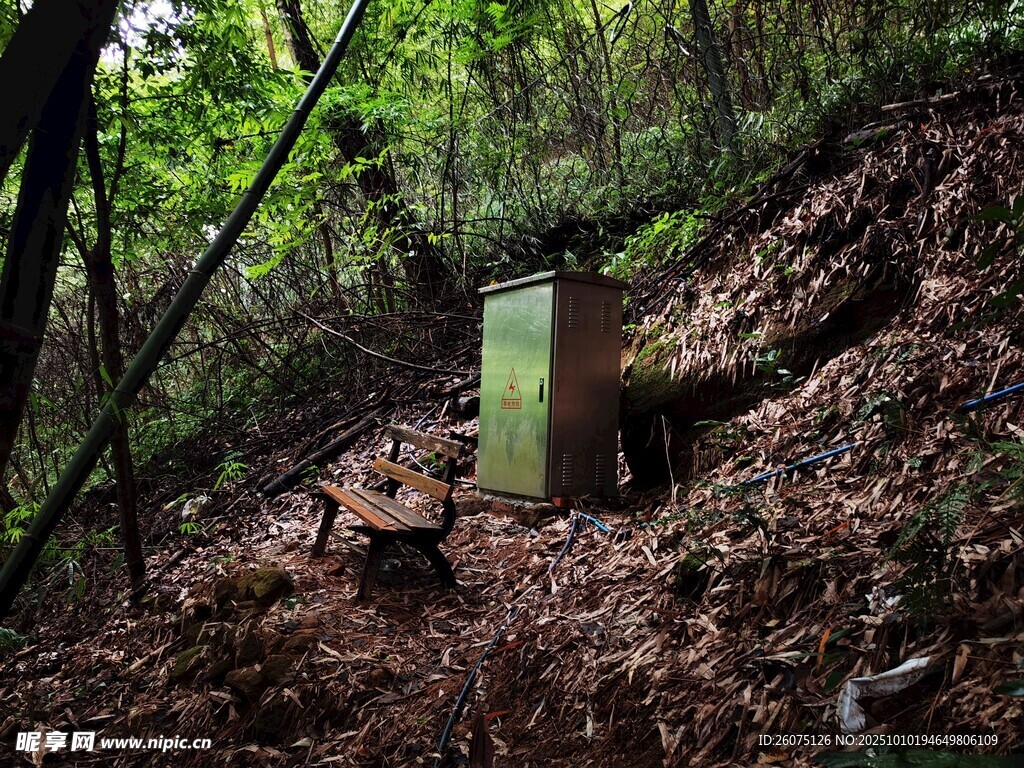 山林中的隐蔽绿色箱体