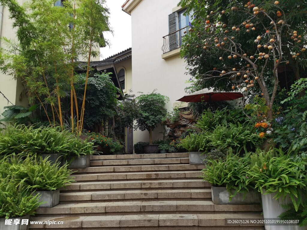 中式庭院石阶绿植景观