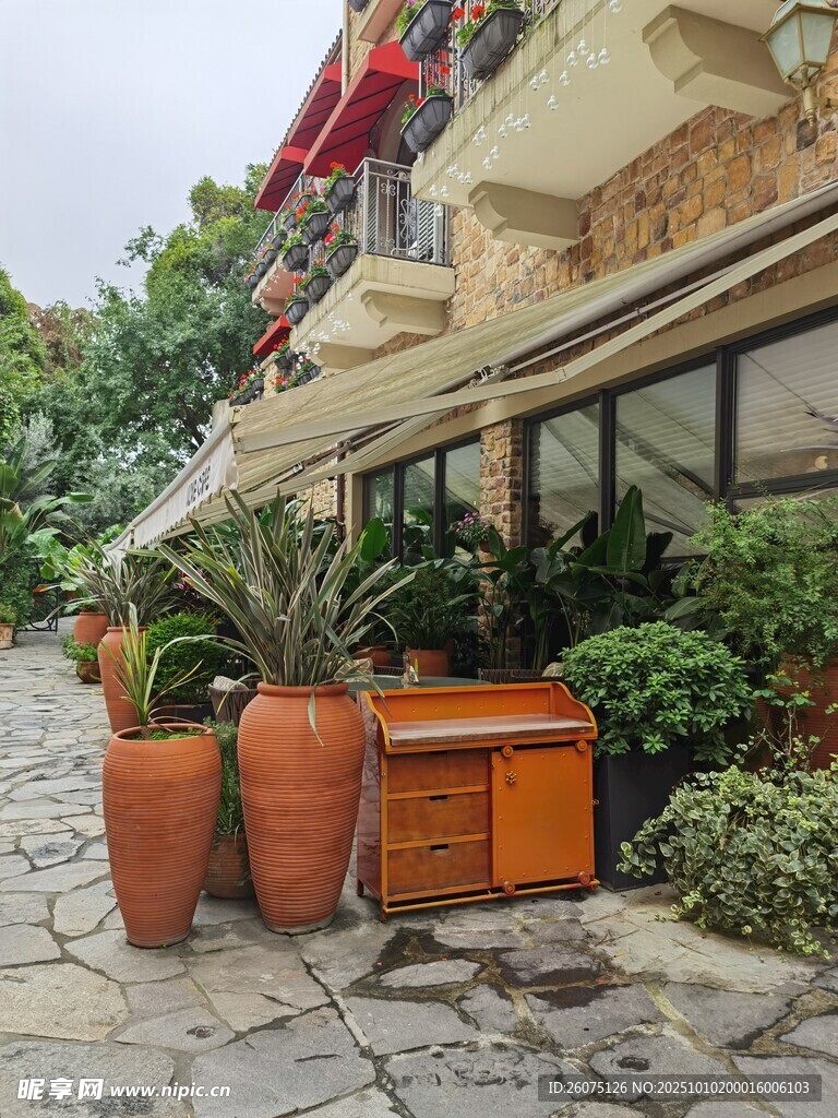 户外庭院的陶制花盆景致