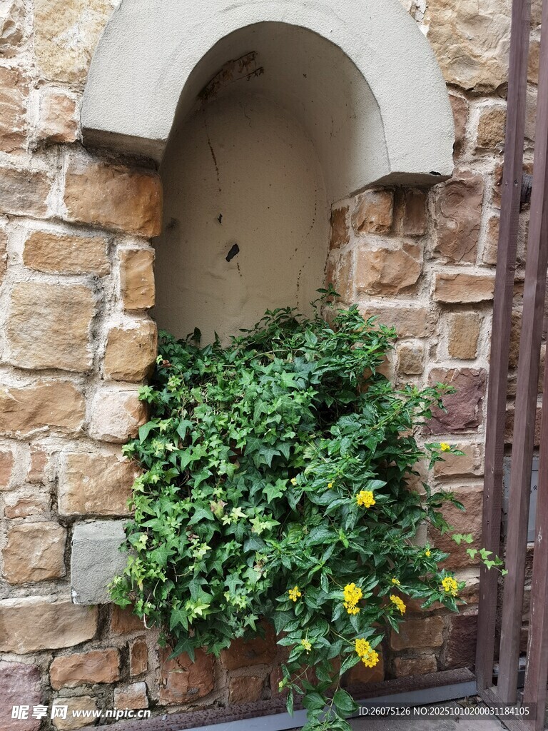 石墙花植古朴自然景致