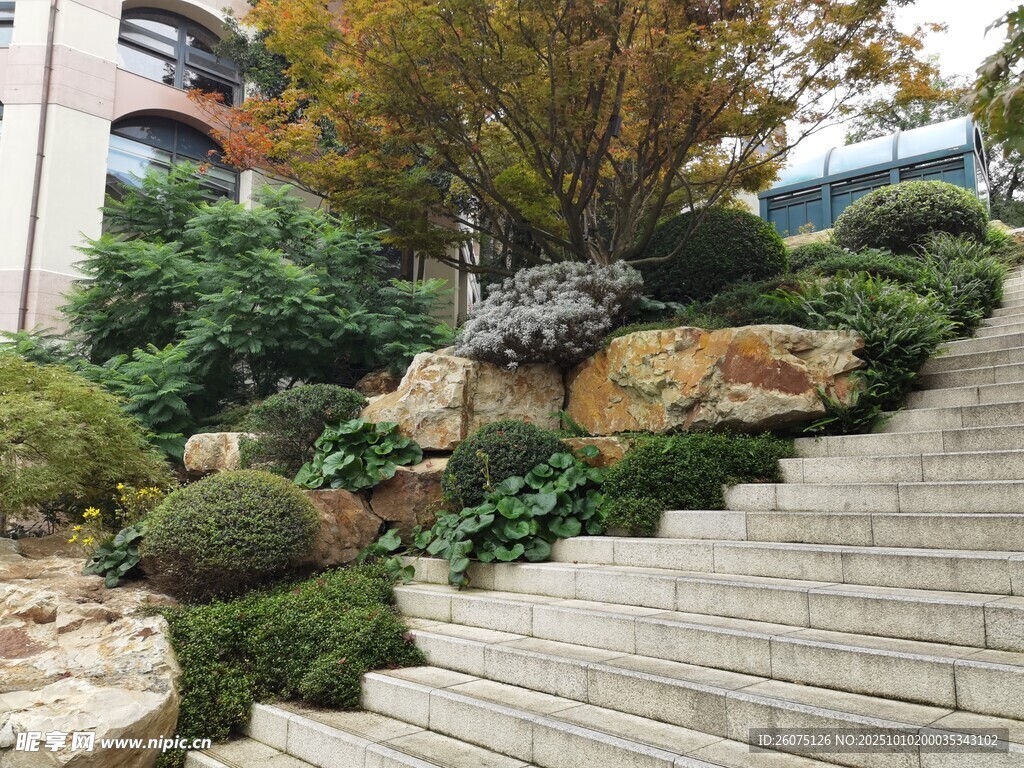 庭院石阶旁的绿植山石景观