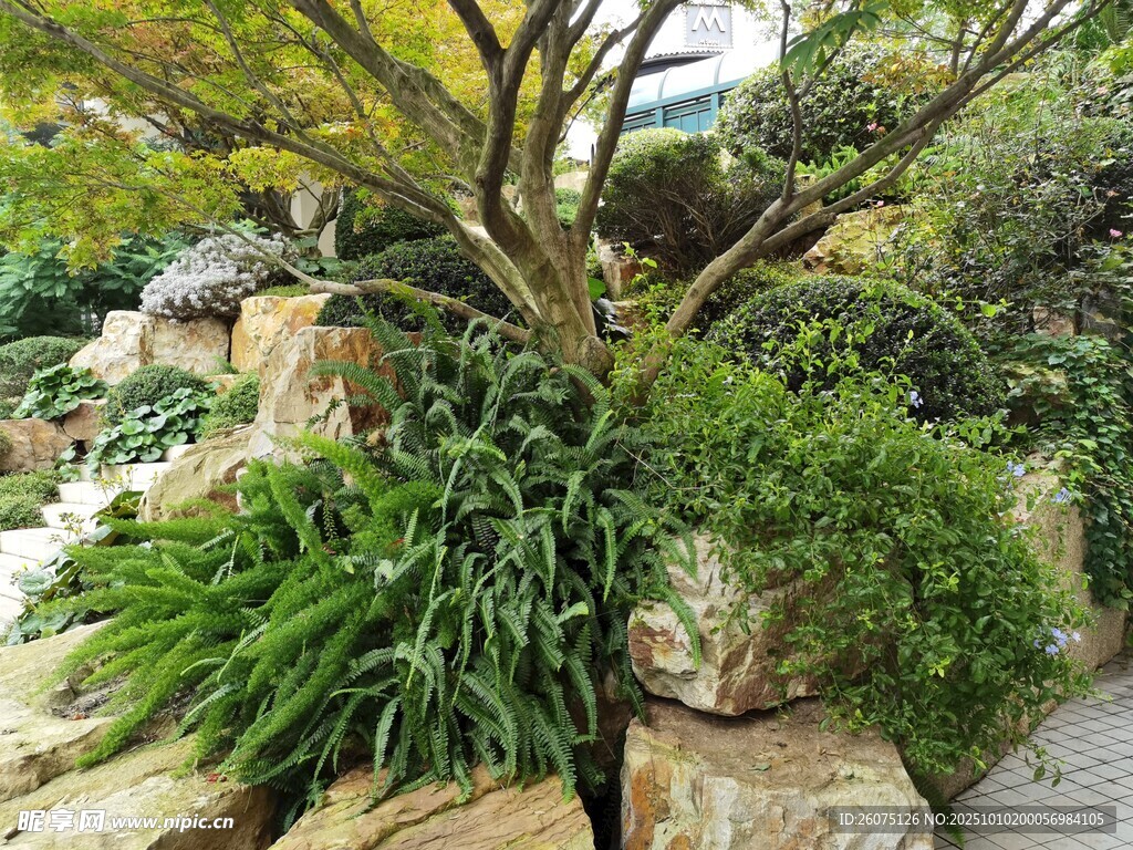 庭院绿植景观自然野趣