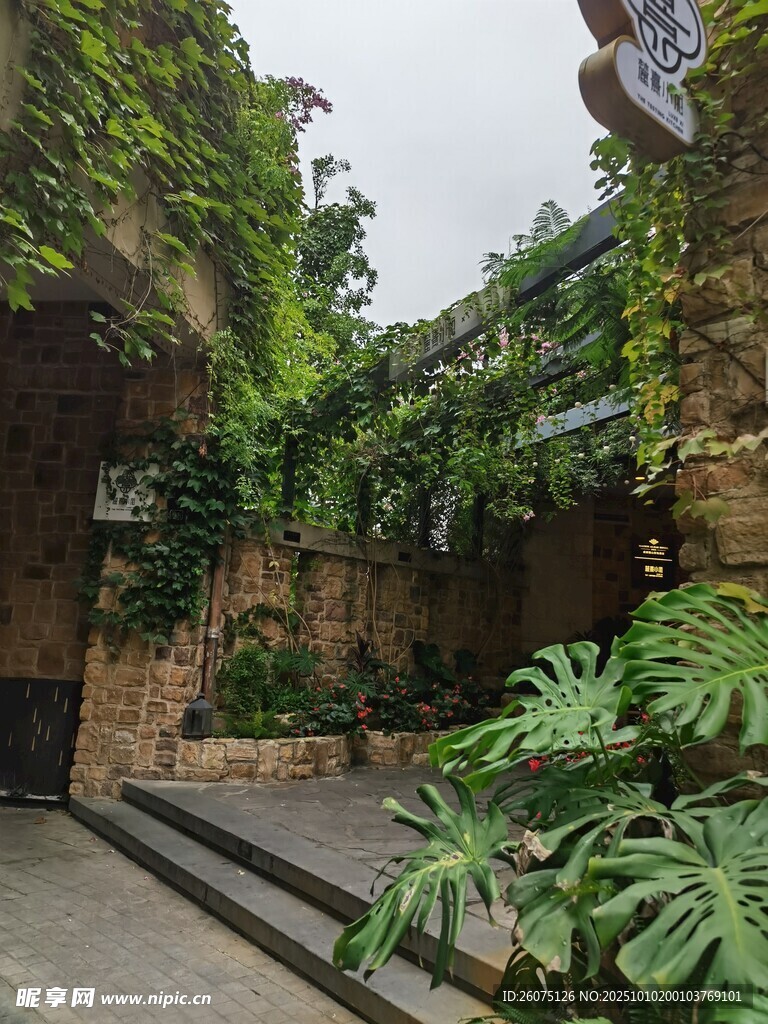 绿意盎然的庭院景观